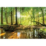 Vliesové fototapety les a potok rozměr 208 cm x 146 cm