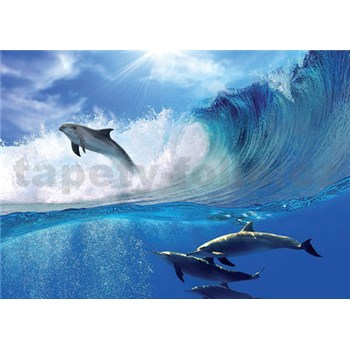 Vliesové fototapety delfíni rozměr 312 cm x 219 cm