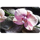 Dekorativní prostírání na stůl ORCHIDEJ rozměr 270 x 410 mm