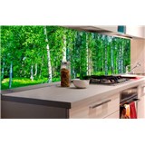 Samolepící tapety za kuchyňskou linku březový les rozměr 180 cm x 60 cm