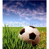 Vliesové fototapety fotbalový míč rozměr 225 cm x 250 cm - POSLEDNÍ KUSY
