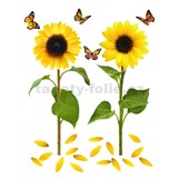 Samolepky na zeď slunečnice s motýly 82 cm x 105 cm